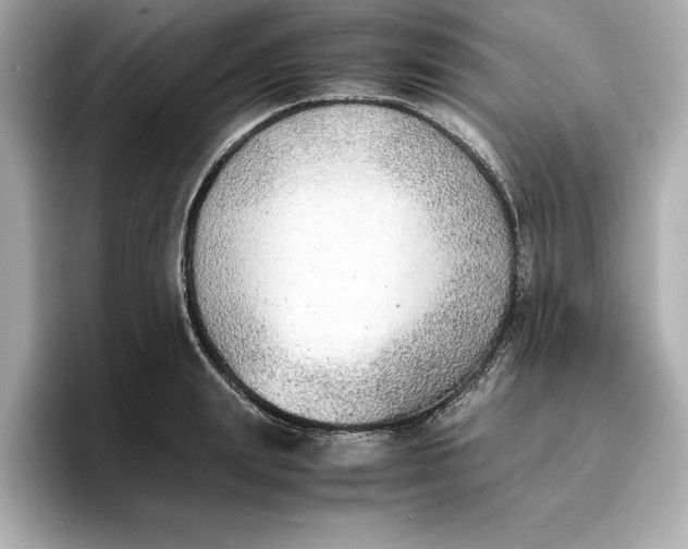 X0000096960847200802221341