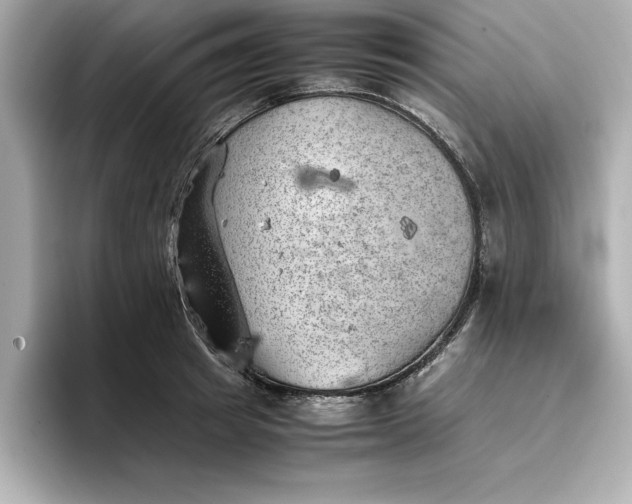 X0000096960849200802221341