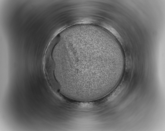 X0000096960850200802221341