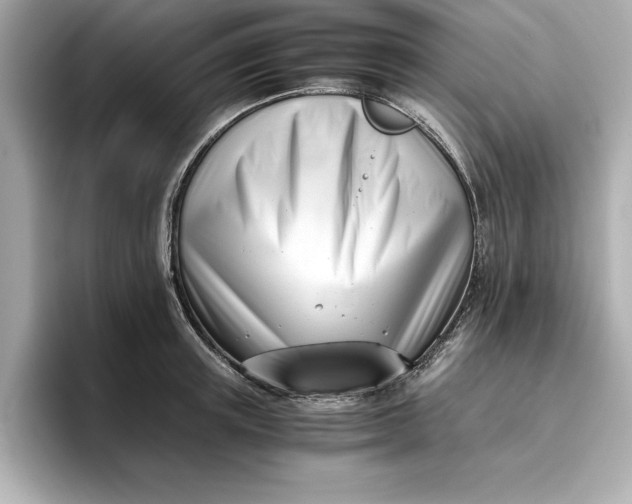 X0000096960851200802221341