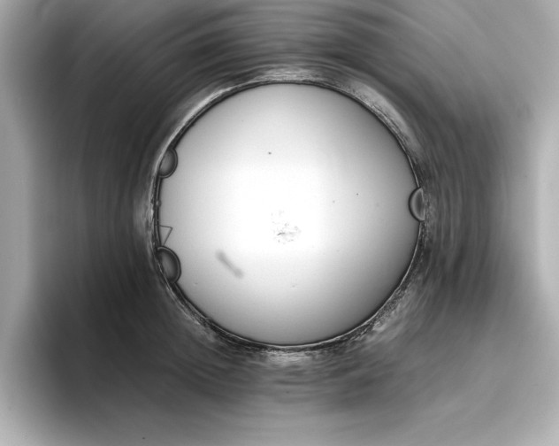 X0000096960852200802221341