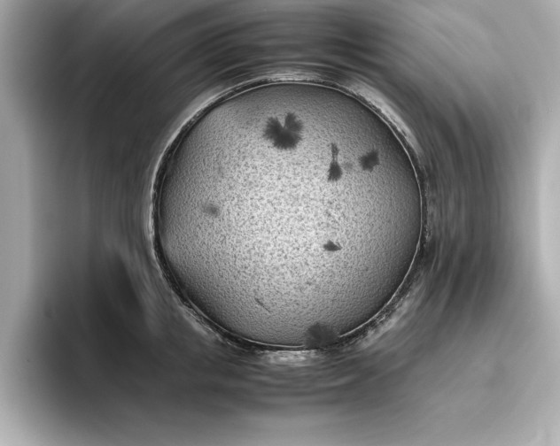 X0000096960853200802221341