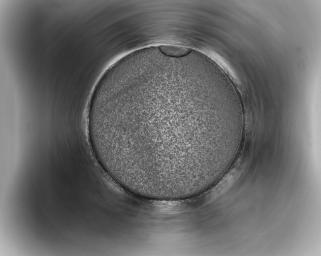 X0000096960854200802221341