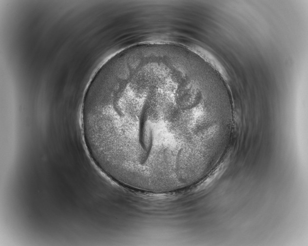 X0000096960855200802221341