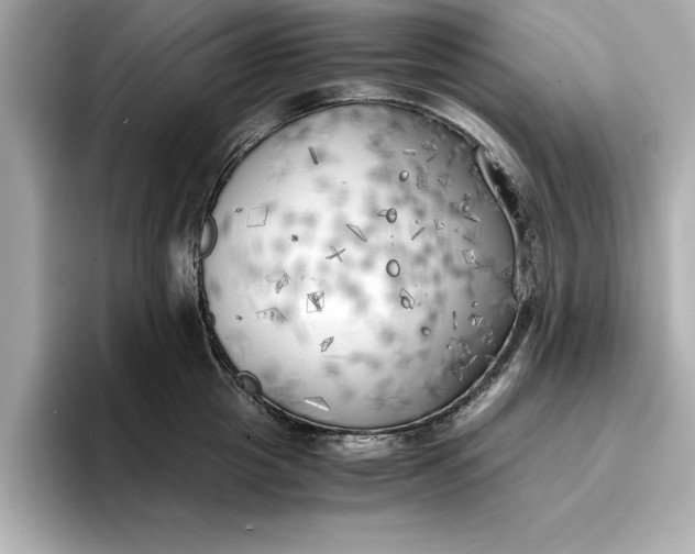 X0000096960857200802221341