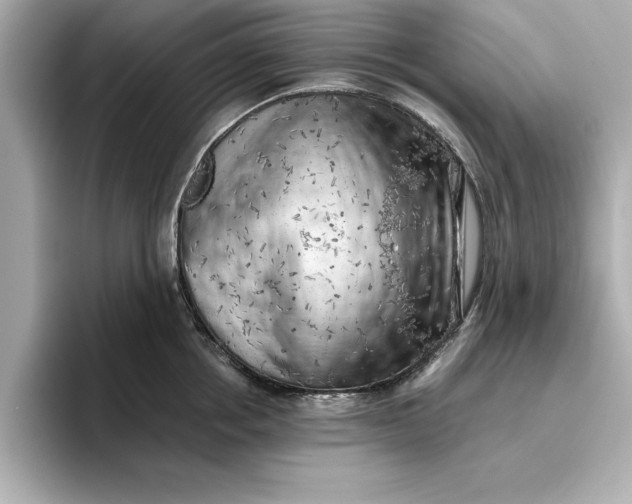 X0000096960858200802221341