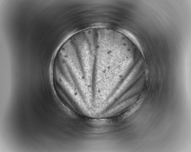 X0000096960859200802221341