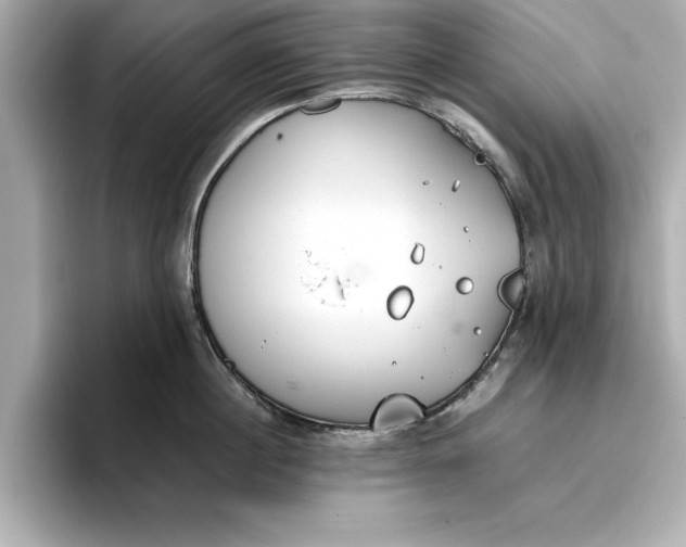 X0000096960860200802221341