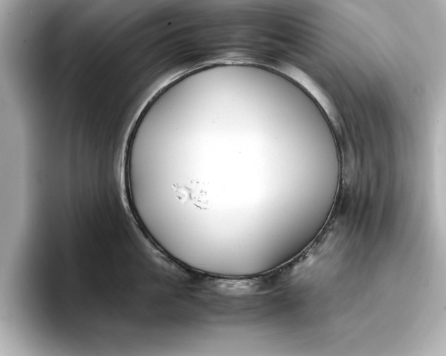 X0000096960861200802221341