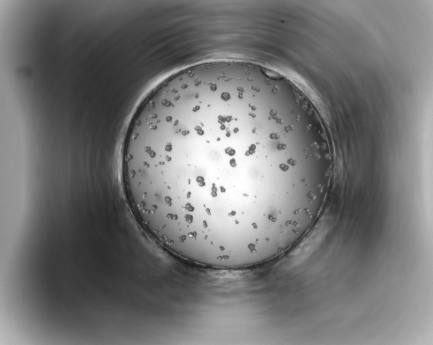 X0000096960862200802221341