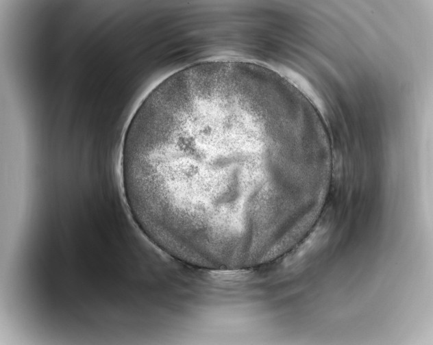 X0000096960863200802221341