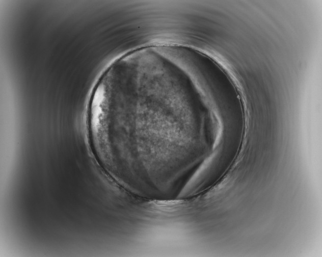 X0000096960864200802221341