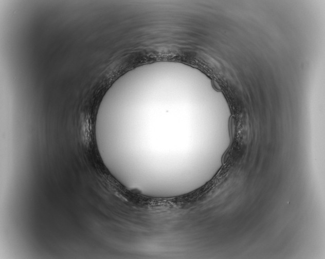 X0000096960866200802221340