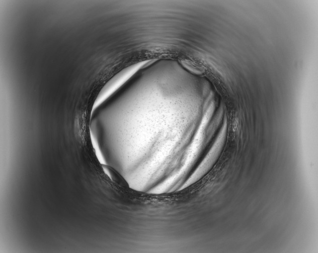 X0000096960868200802221340