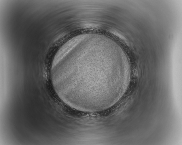 X0000096960869200802221340