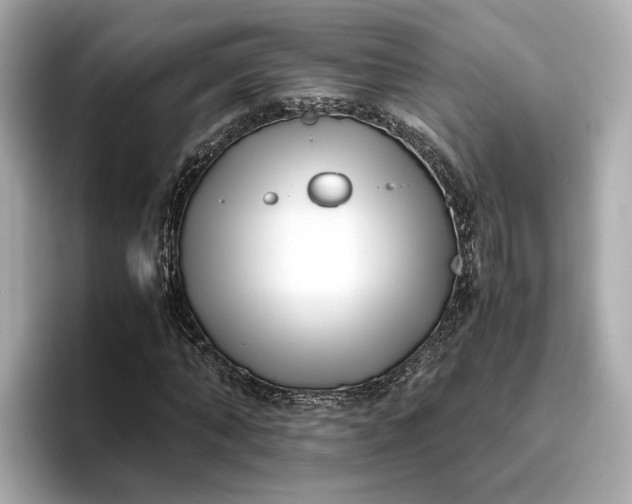 X0000096960870200802221340