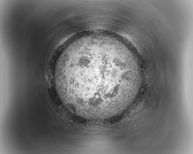 X0000096960871200802221340