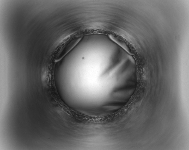 X0000096960872200802221340