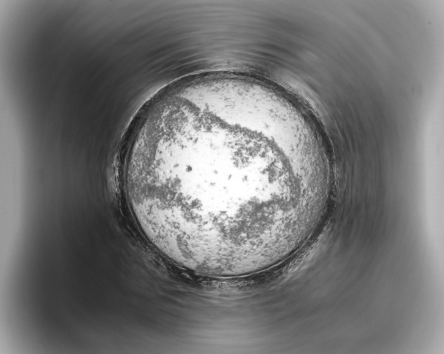 X0000096960875200802221340