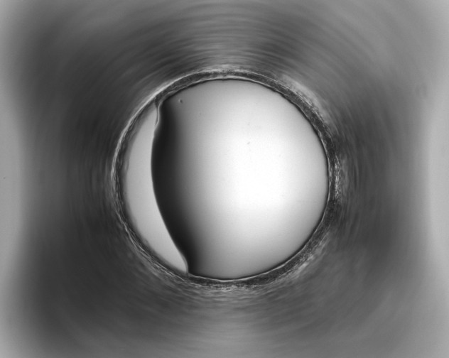 X0000096960876200802221340