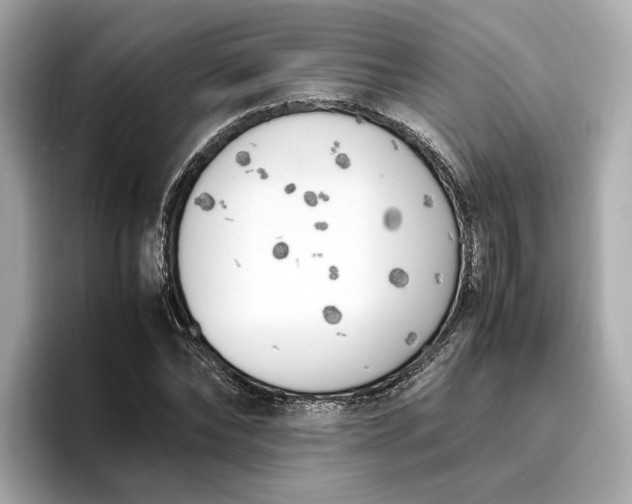 X0000096960878200802221340