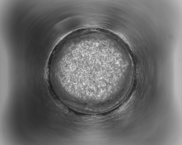 X0000096960879200802221340