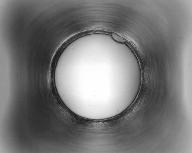 X0000096960880200802221340