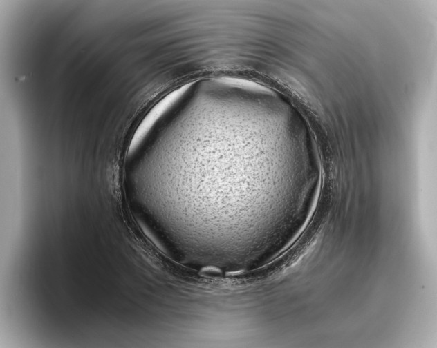 X0000096960881200802221340