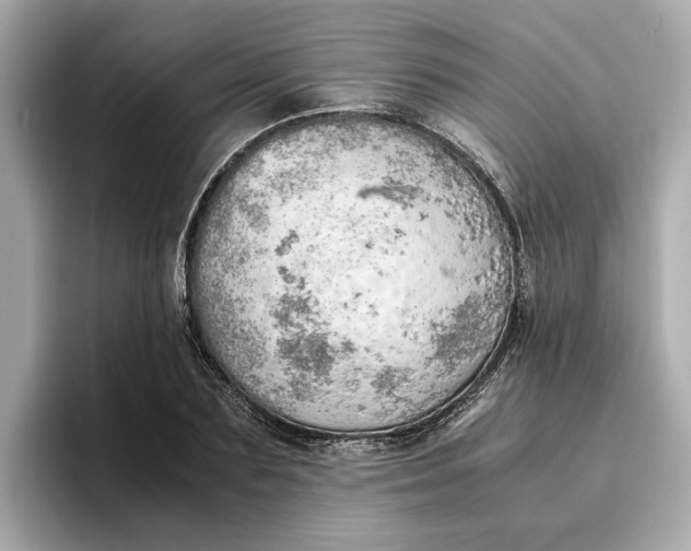 X0000096960883200802221340