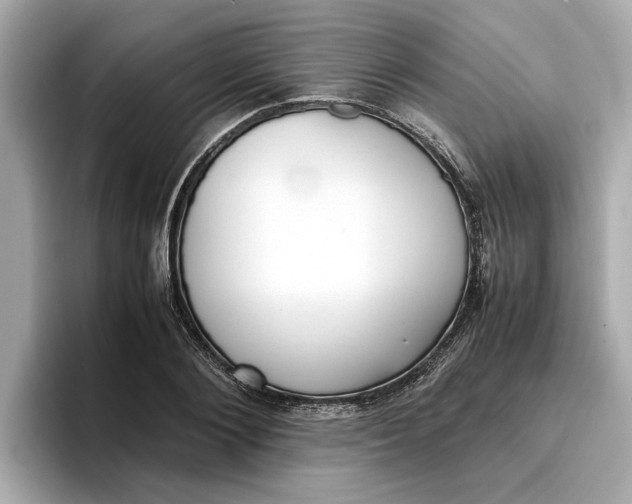 X0000096960884200802221340