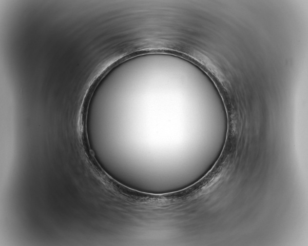 X0000096960885200802221340