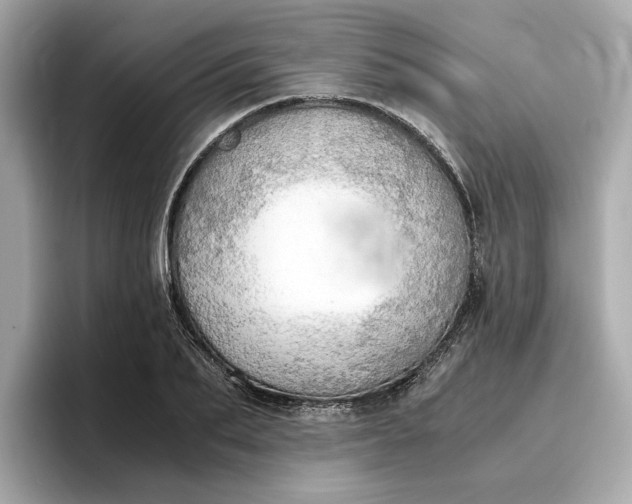 X0000096960887200802221340