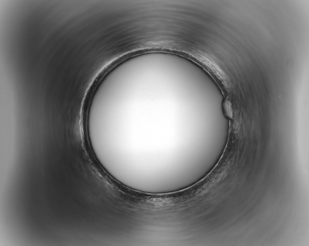 X0000096960888200802221340