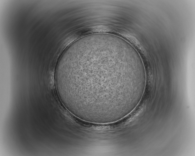 X0000096960889200802221340