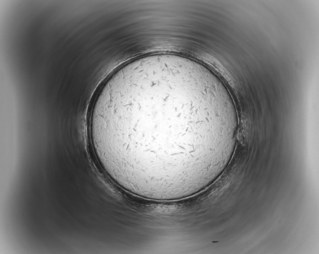 X0000096960890200802221340