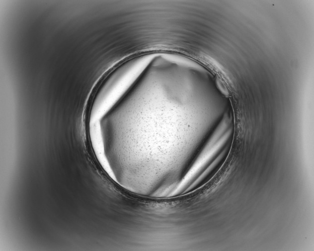 X0000096960892200802221340