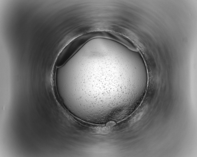 X0000096960893200802221340