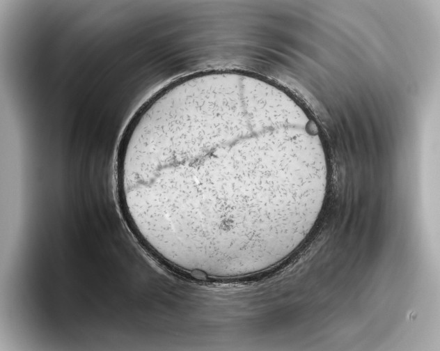 X0000096960894200802221340