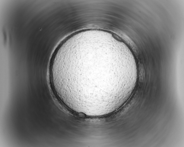 X0000096960896200802221340