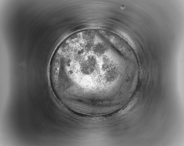 X0000096960899200802221340