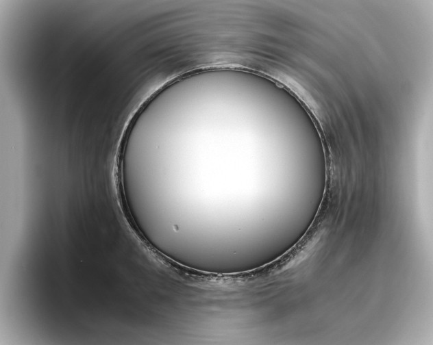 X0000096960901200802221340