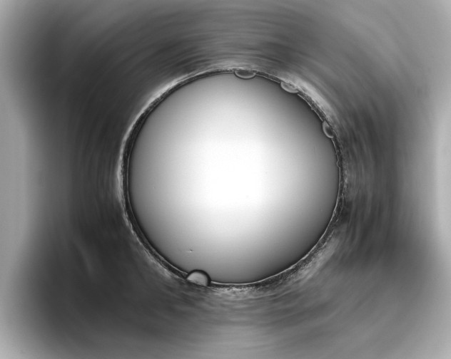 X0000096960902200802221340