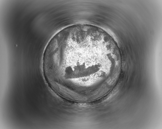 X0000096960903200802221340