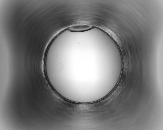 X0000096960904200802221340