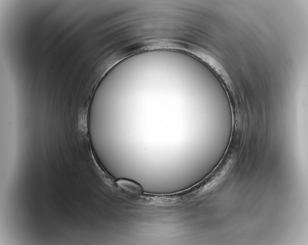 X0000096960905200802221340