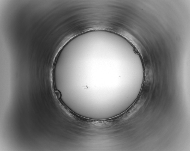 X0000096960906200802221340