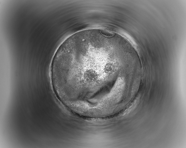 X0000096960907200802221340