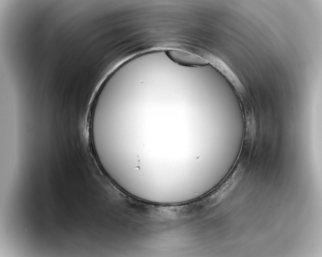 X0000096960908200802221340