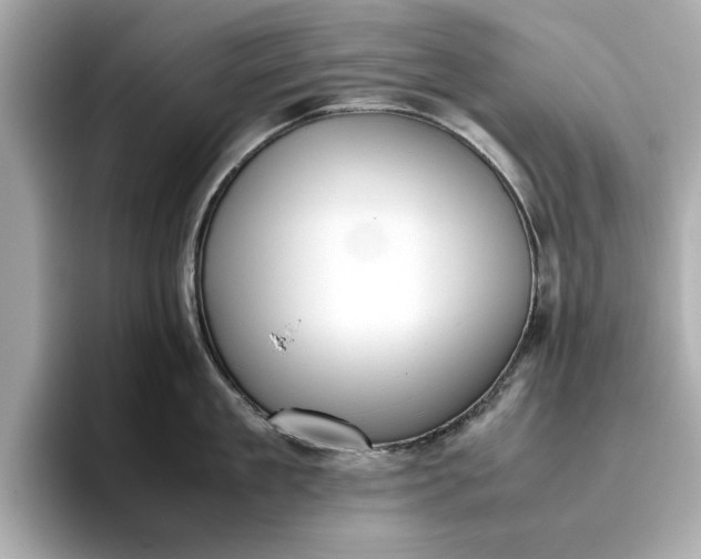 X0000096960909200802221340