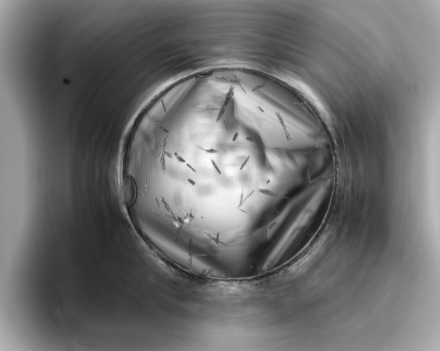 X0000096960910200802221340